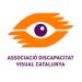 Compromis-Social-.ORG-DVC