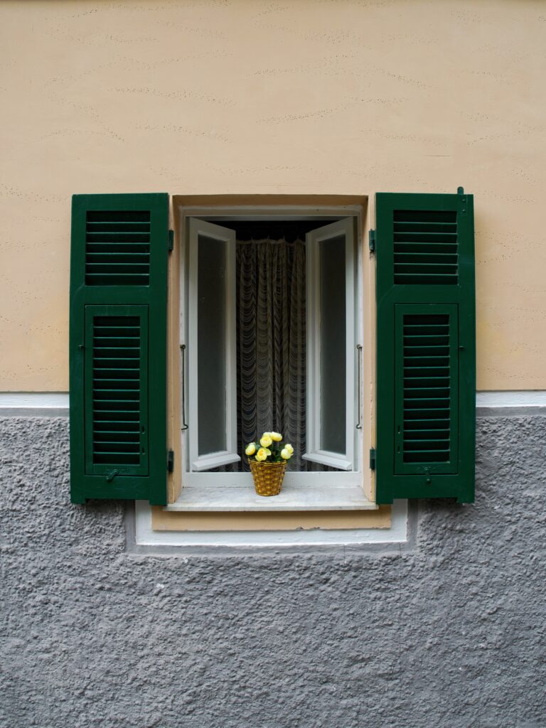 "Bodegó improvitzat"