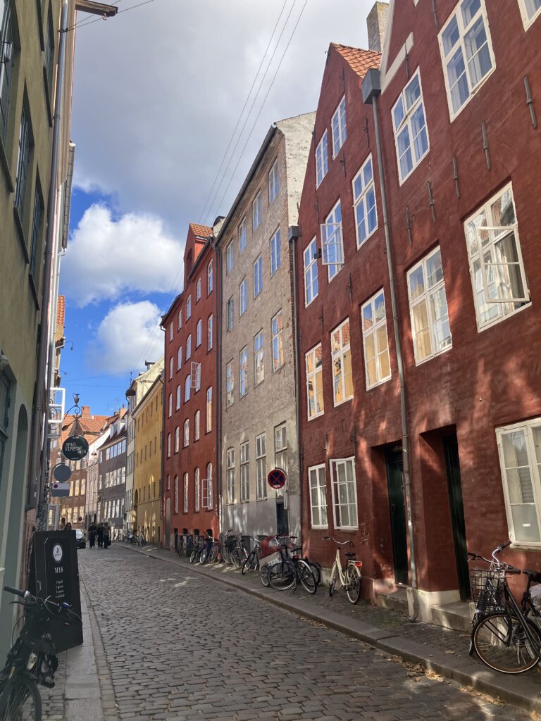 "Calles perdida de Cophenage"