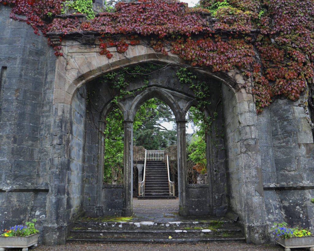 "Portam al teu passat"