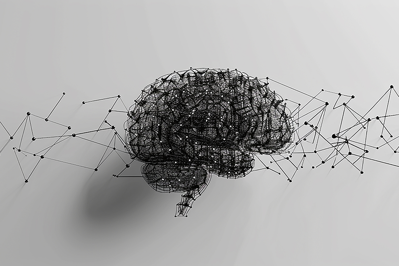 Àgora Sanitària reforça el paper del farmacèutic com a agent de salut clau en el deteriorament cognitiu